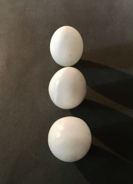 3 OVOS - pedra polida - 6 x 4,5 cm/s - 150g x 3