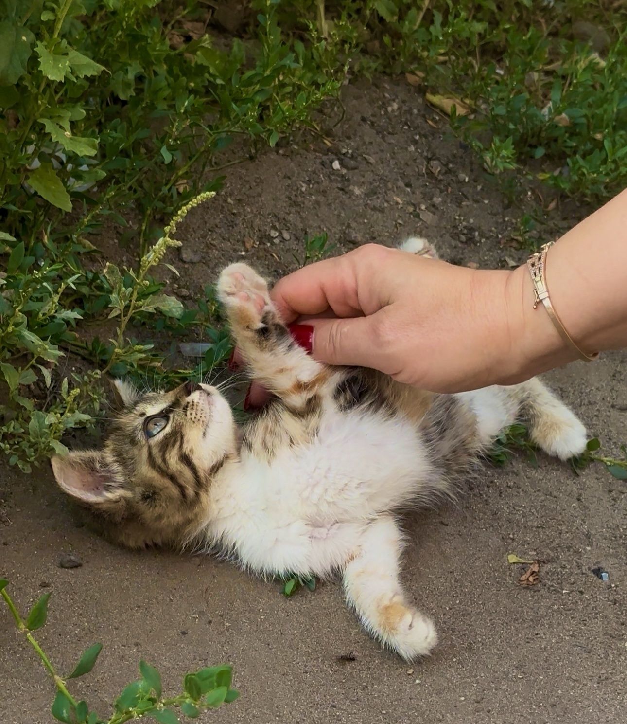 Сестрички  Мишель и Маргарита