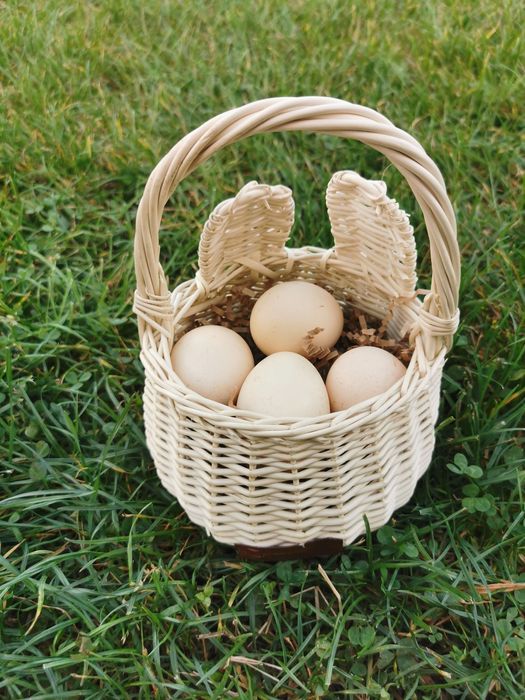 Świeże jajka wiejskie z wolnego wybiegu Jaja