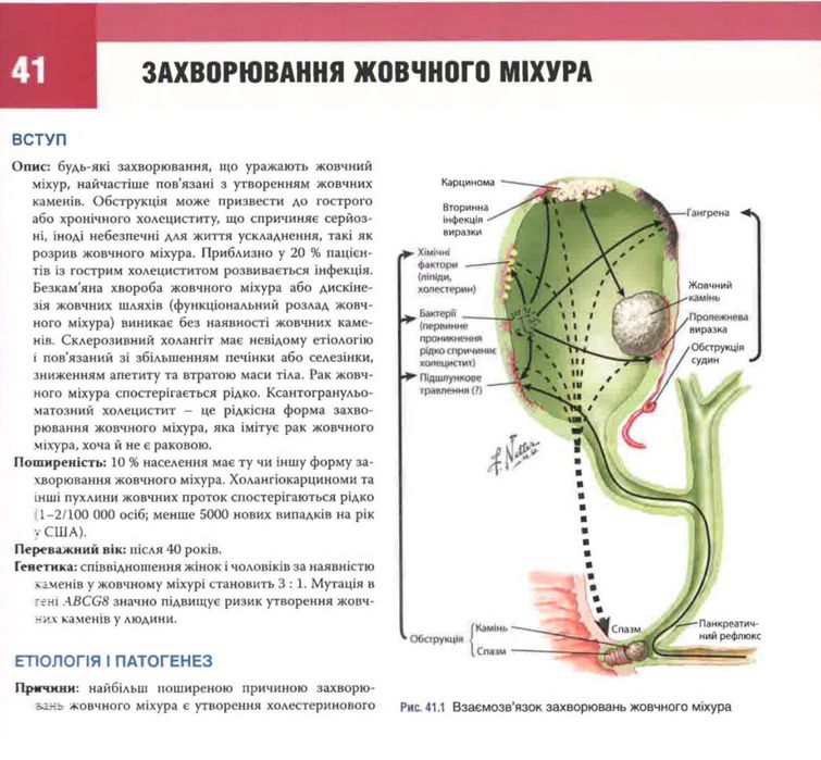 Акушерство та гінекологія за Неттером. 4-те видання. 2025 Гинекология