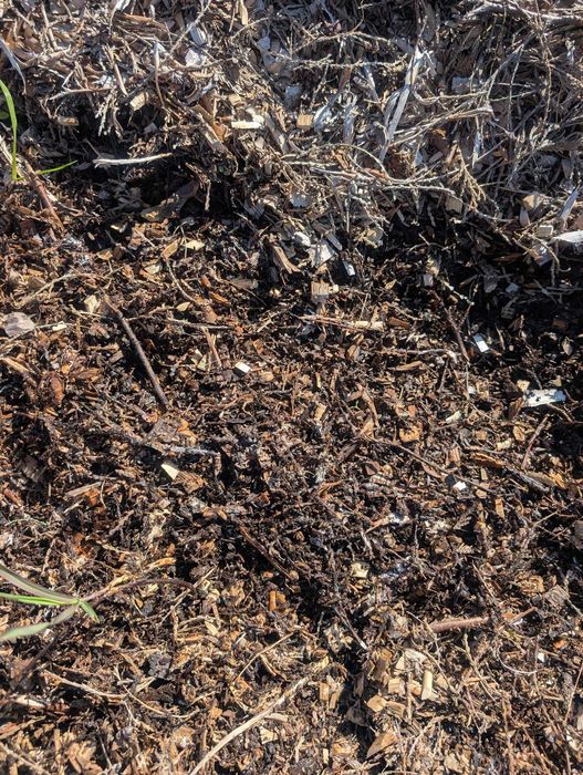 Zrębka drzew iglastych/liściastych do zakwaszania gleby, pod borówki.