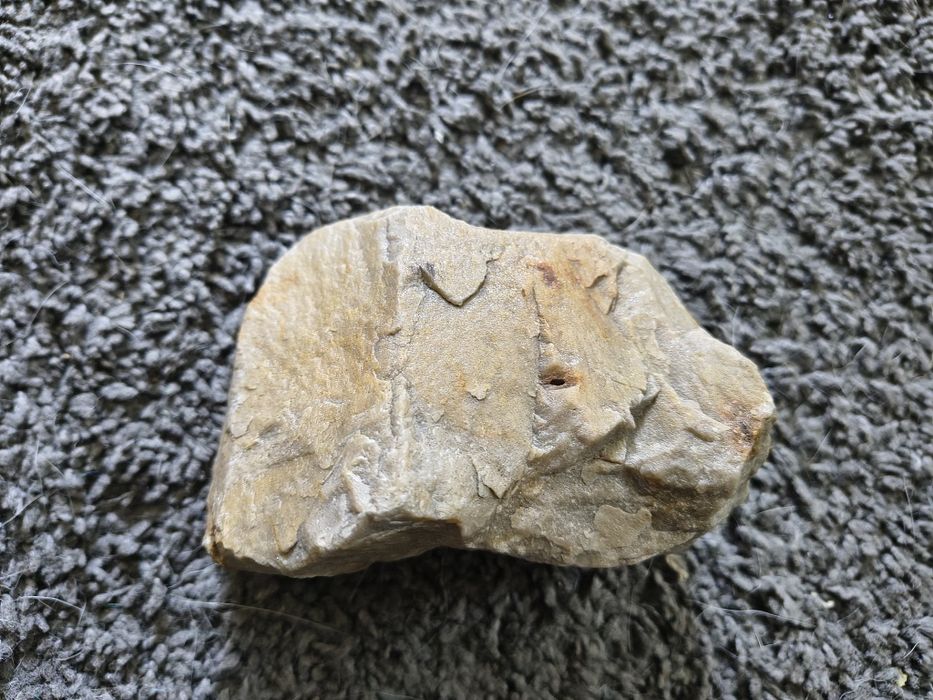 Naturalna ozdoba do akwarium. Piaskowiec idealny do hodowli gupików.