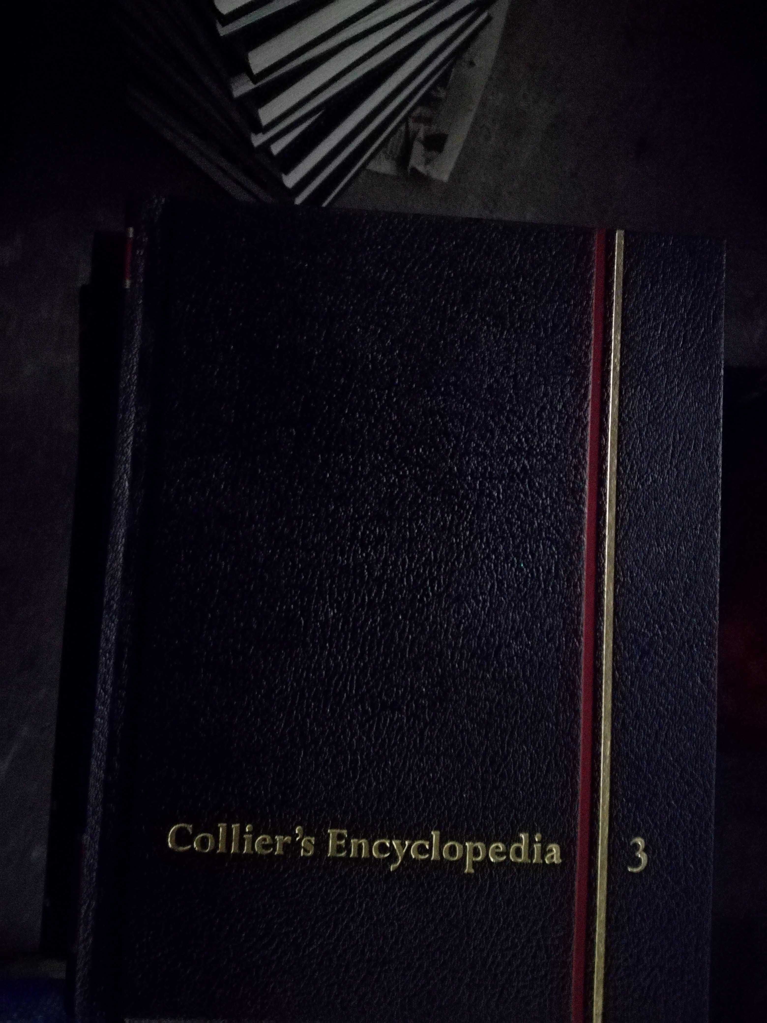 Lote 31 Collier's encyclopedia