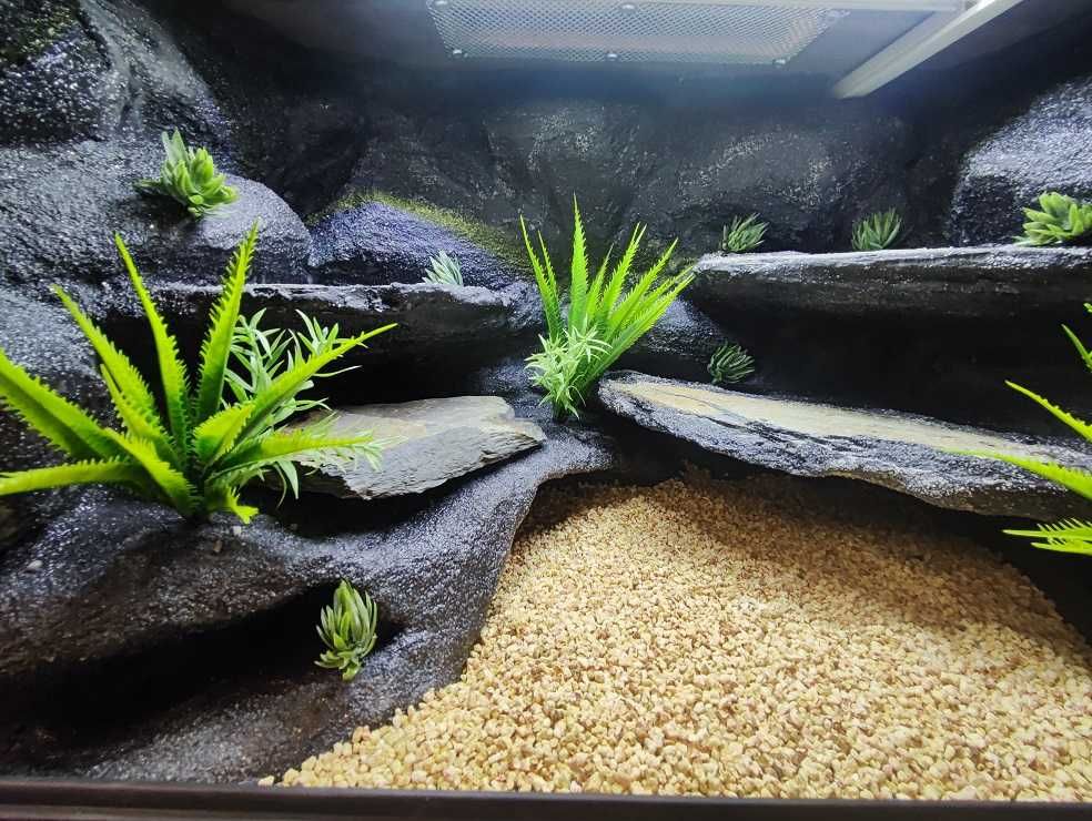 Terrarium pustynne nr627 60/40/40 dla gekona lamparciego NA ZAMÓWIENIE