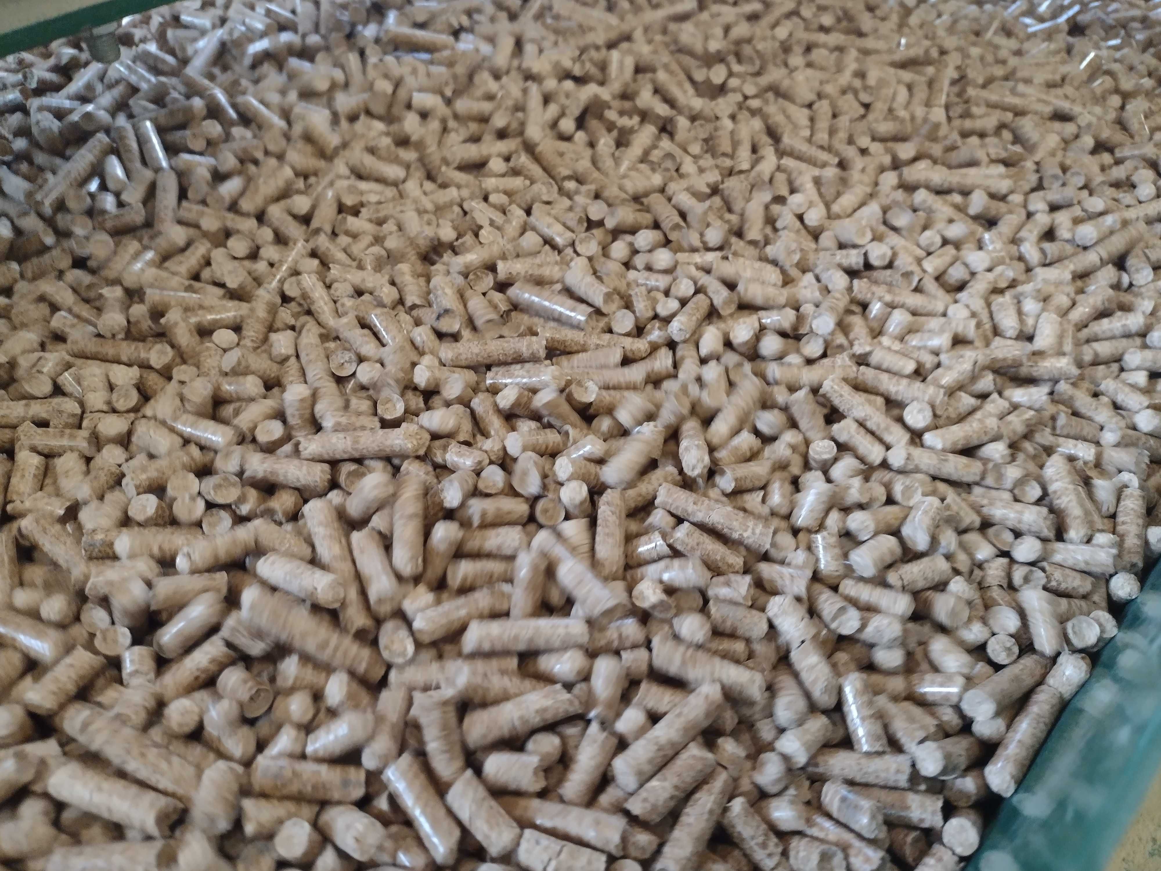 PELLET DĘBOWY Eko Gont z Krasnobrodu.