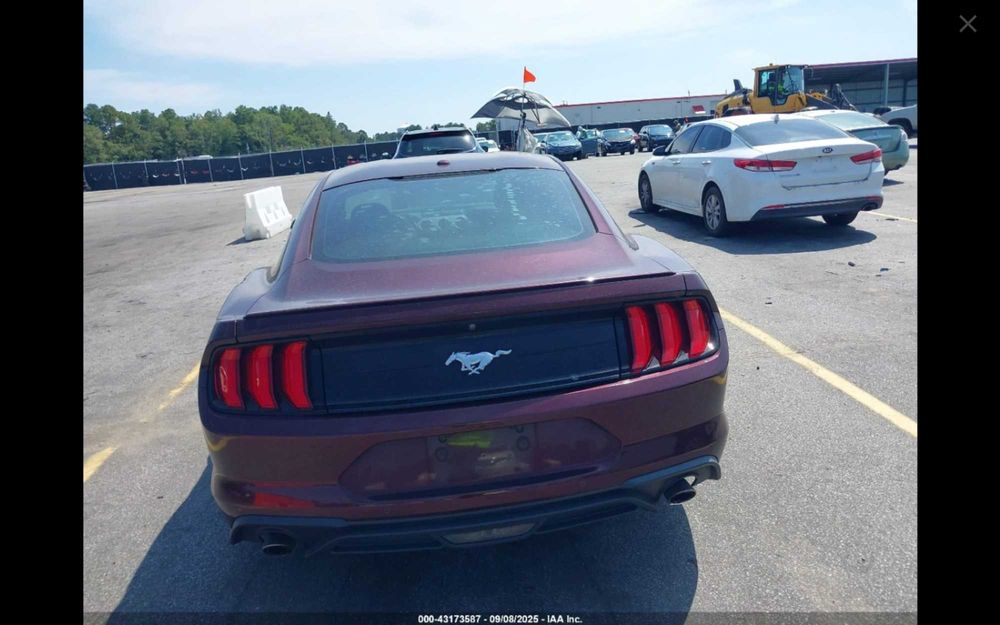 Ford Mustang 2.3 EcoBoost 289KM - w drodze do Polski