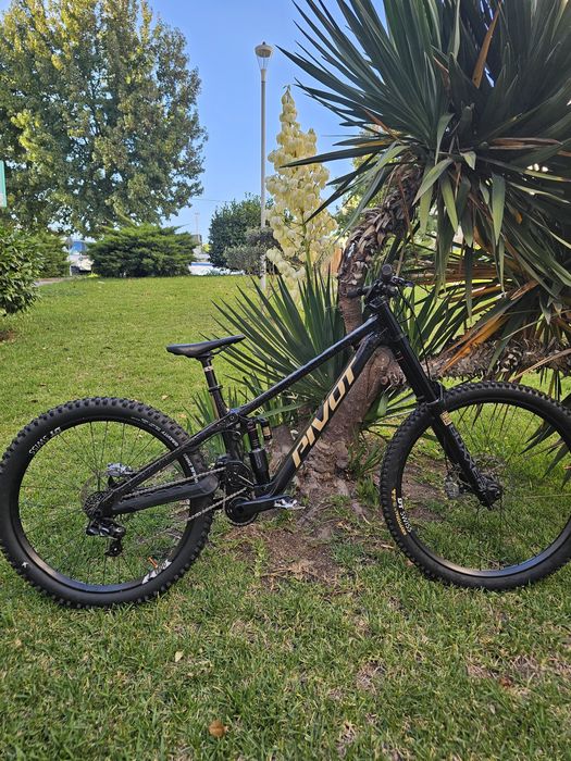 Pivot phenix 2025