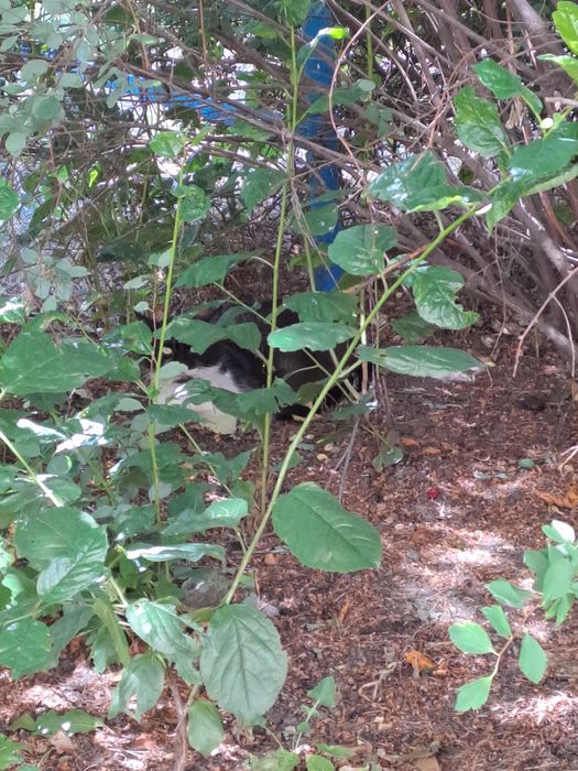 Ніхто не шукає? Хлопчик.