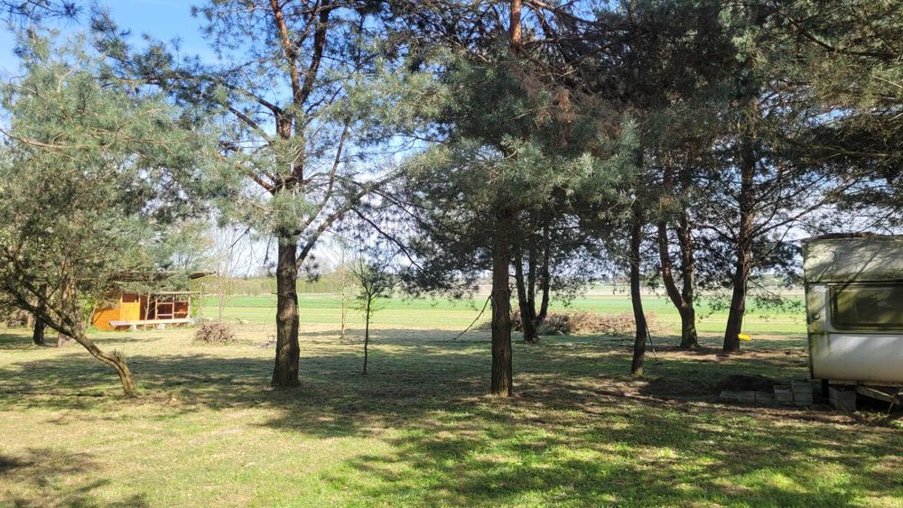 Działka budowlana Moskorzew pow. włoszczowski