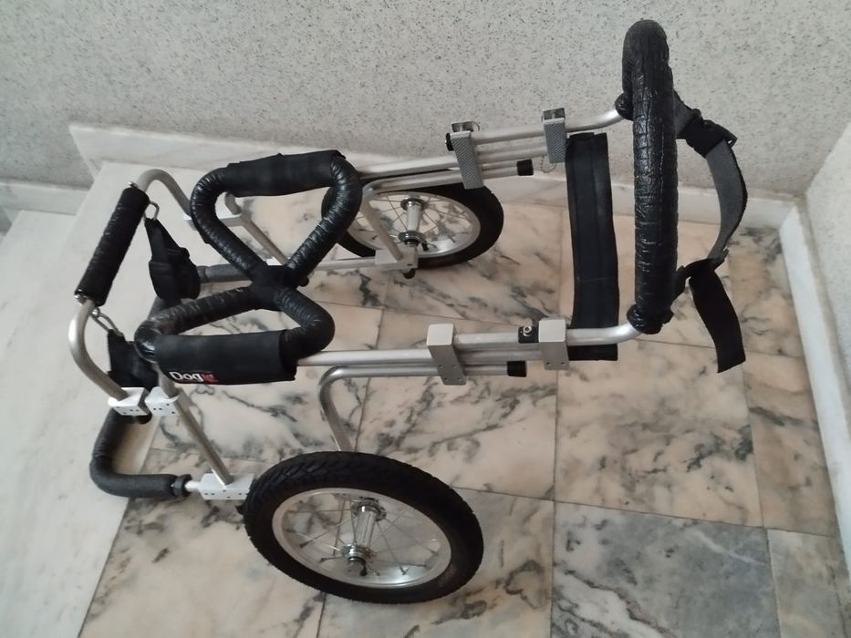 Cadeira de rodas para cão.