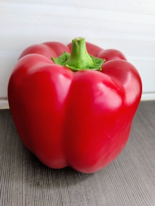 Papryka czerwona, nasiona  1 g.
