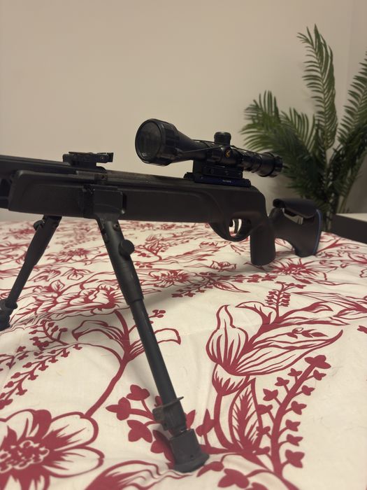 Arma de Pressão de ar Gamo IGT