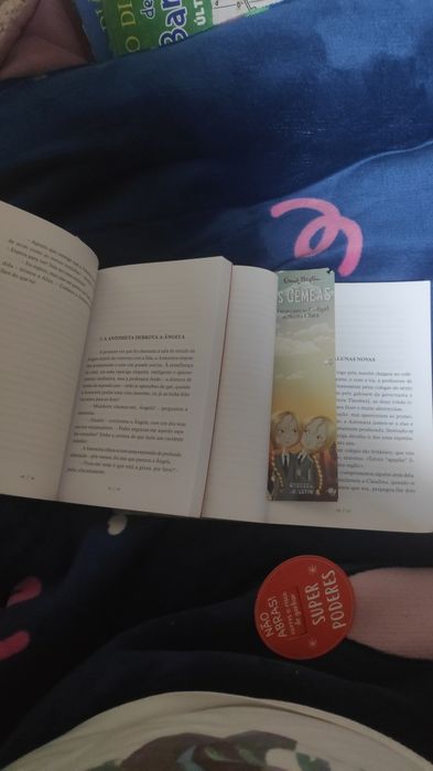 Alguns livros da Coleção as gêmeas