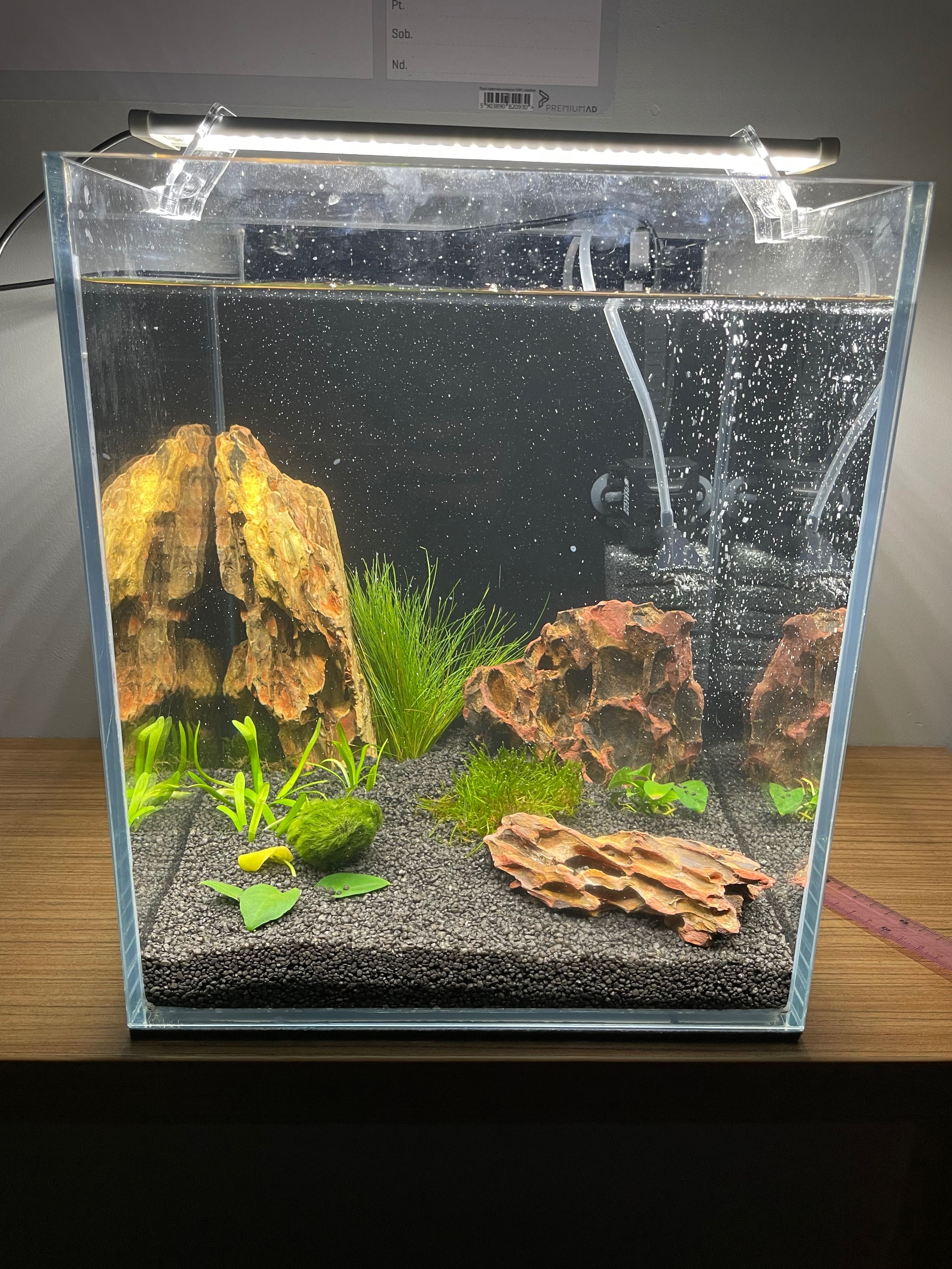 Akwarium kostka 30x30x35 full opti 6mm