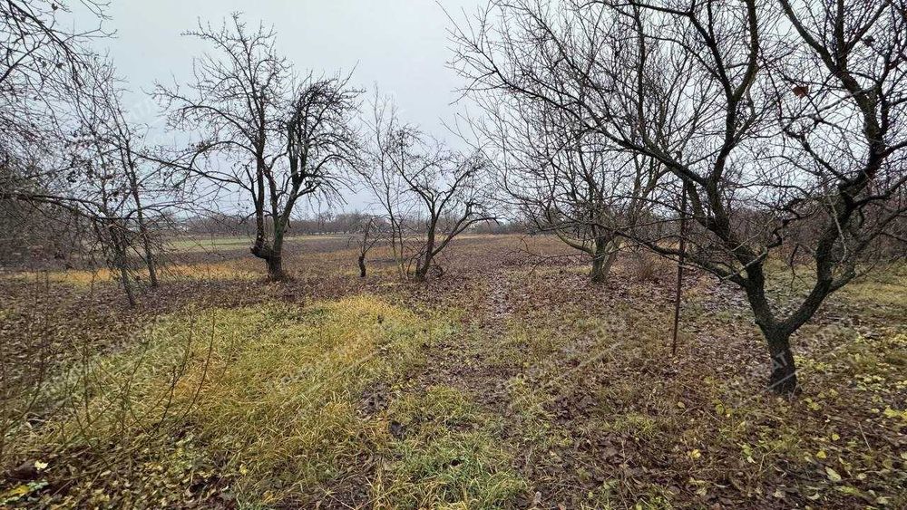Продається будинок у Мачухах — ідеальне місце для спокійного життя!