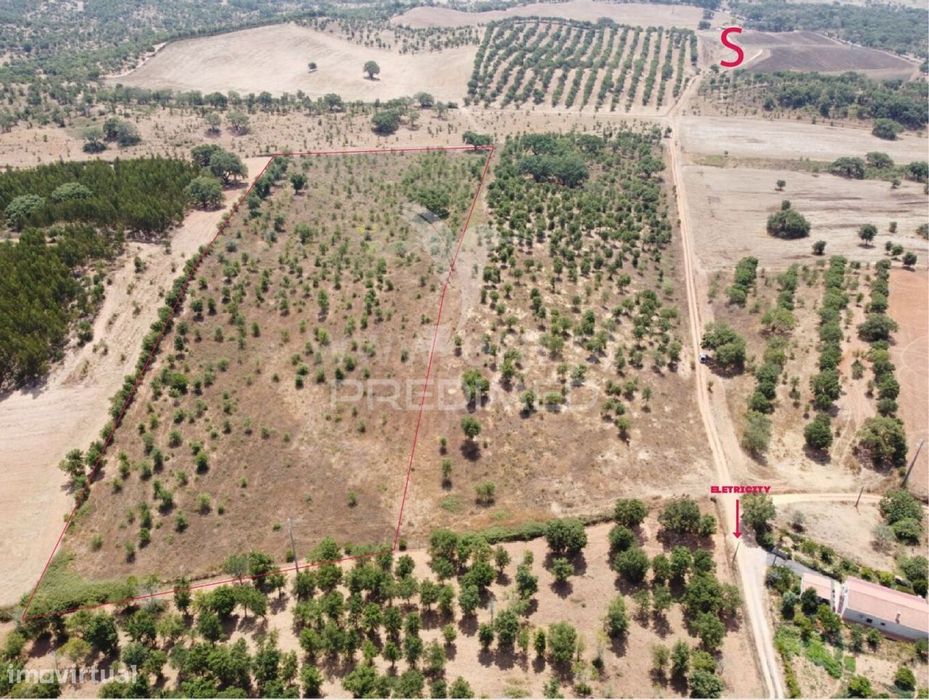 Terreno com 31 000 m2,Cercal,Santiago do Cacém.