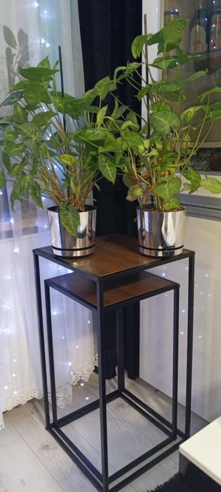 Dwa stoliki kwietniki