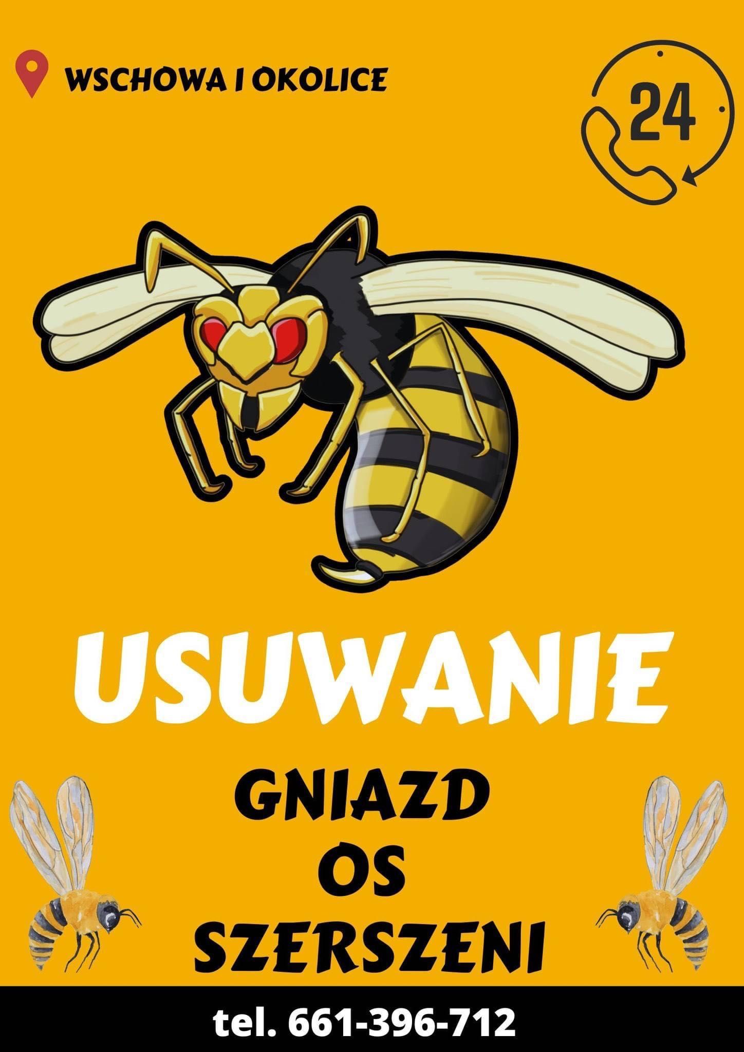 Usuwanie, likwidacja gniazd os i szerszeni WSCHOWA LESZNO GŁOGÓW