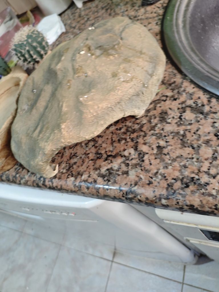 Acessórios para terrários