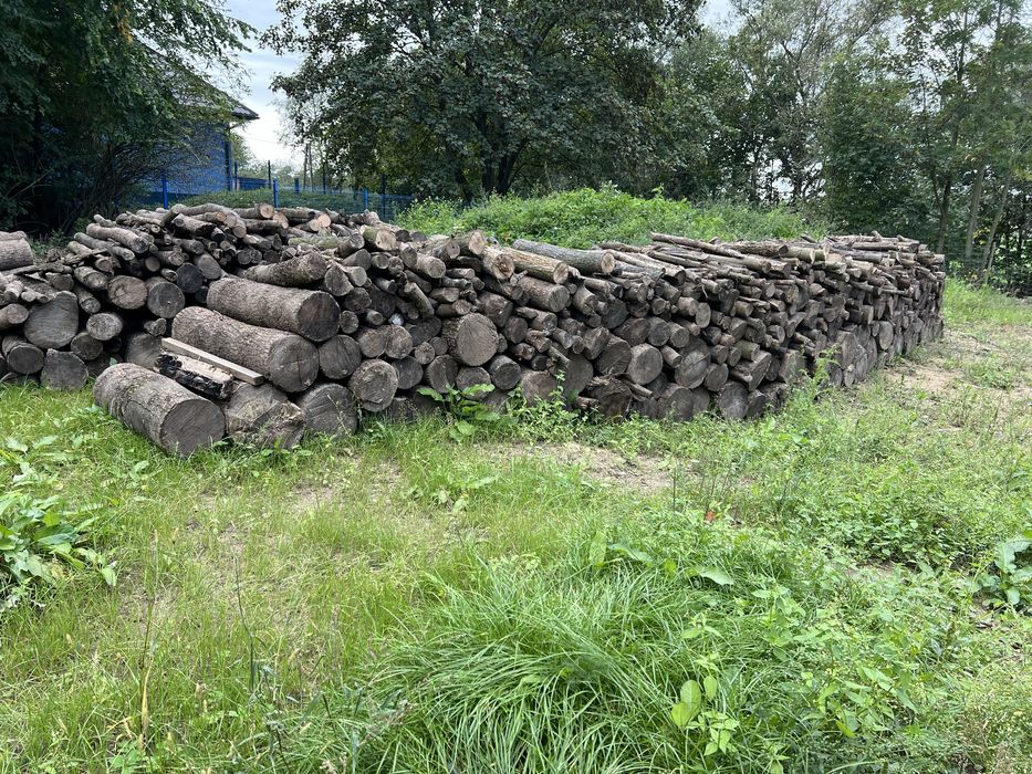 Drewno jesion i klon