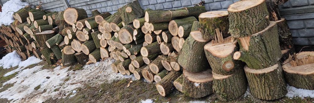 drewno dębowe dąb dębina AKACJA na opał wałki do kominka drzewo  KLON
