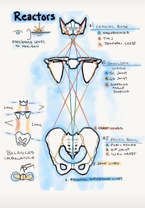 Massoterapeuta;-Shiatsu/Thay/Tui Na e Osteopatia