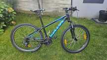 Rower Kellys Madman 10     26 XXS