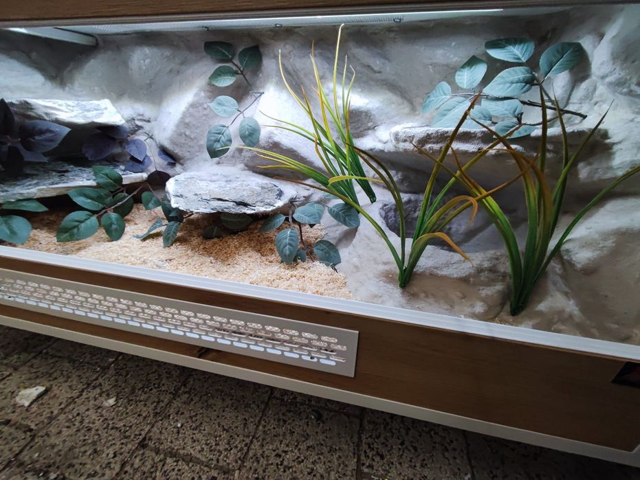 Terrarium 100x40x40 wąż pyton boa PETMARKET