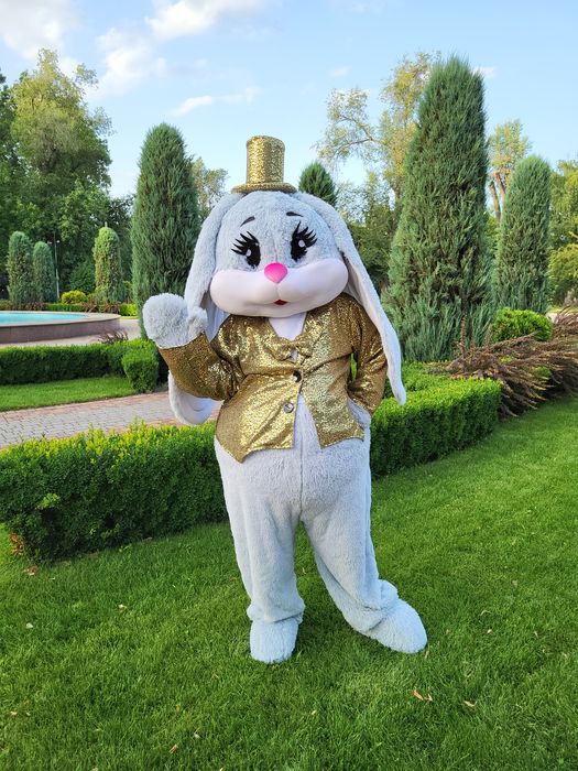 Гендер Паті Аніматори Зайка Мишка Жива Фотозона Гендер Пати Аниматор