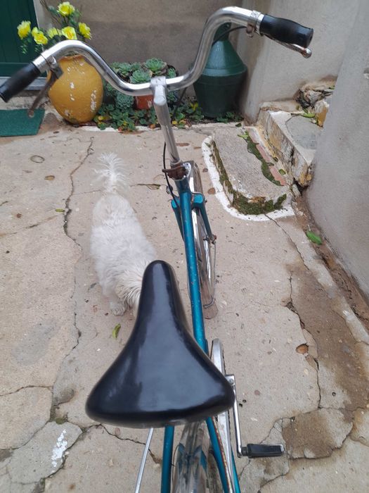 Bicicleta pegeout classica