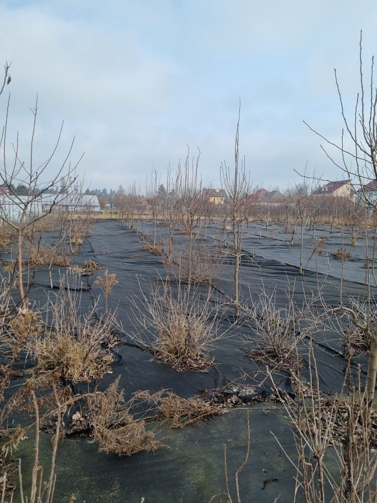 Пансионат и реабилитация с. Жорновкс