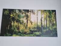 Obraz las 70x140