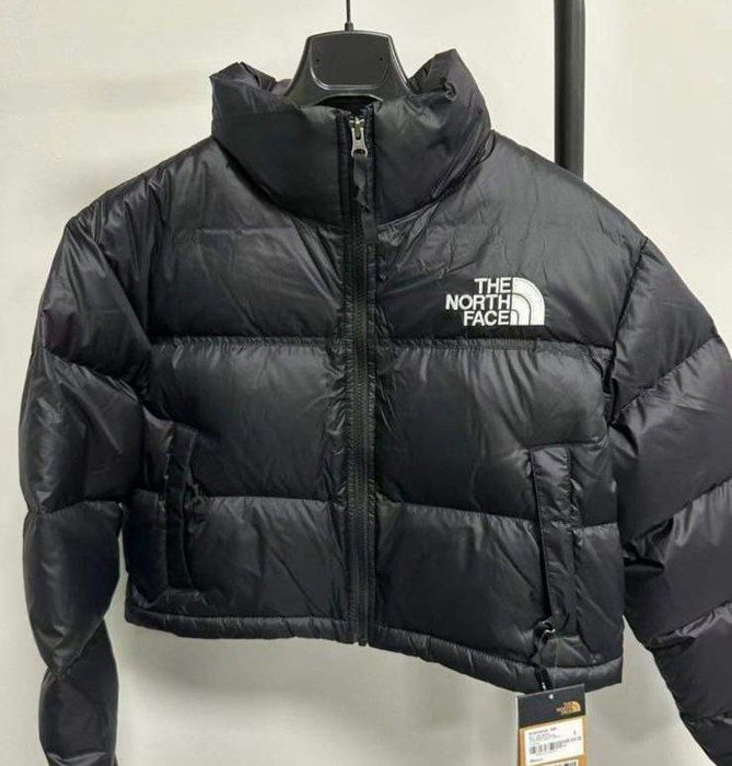 Kispo the north face