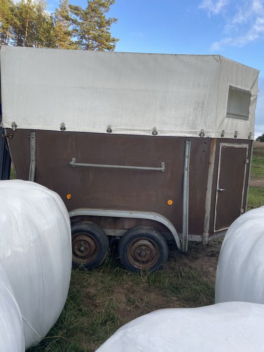 Przyczepa dla 1 konia w dobrym stanie sprowadzona