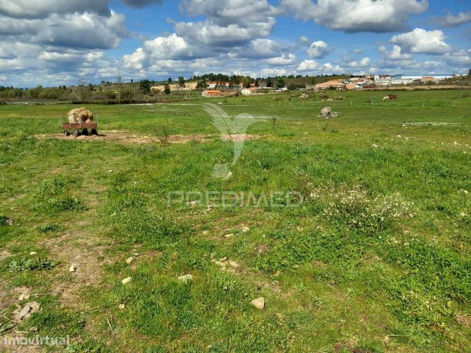 Quinta à venda com 6 Hectares – Mêda