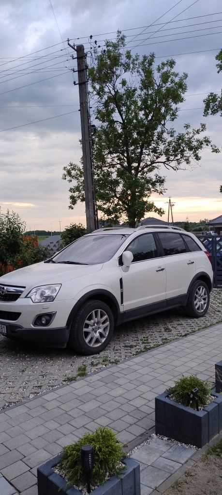 Opel antara 2011/2012 2.2 Cdti 4x4 wersja Cosmo