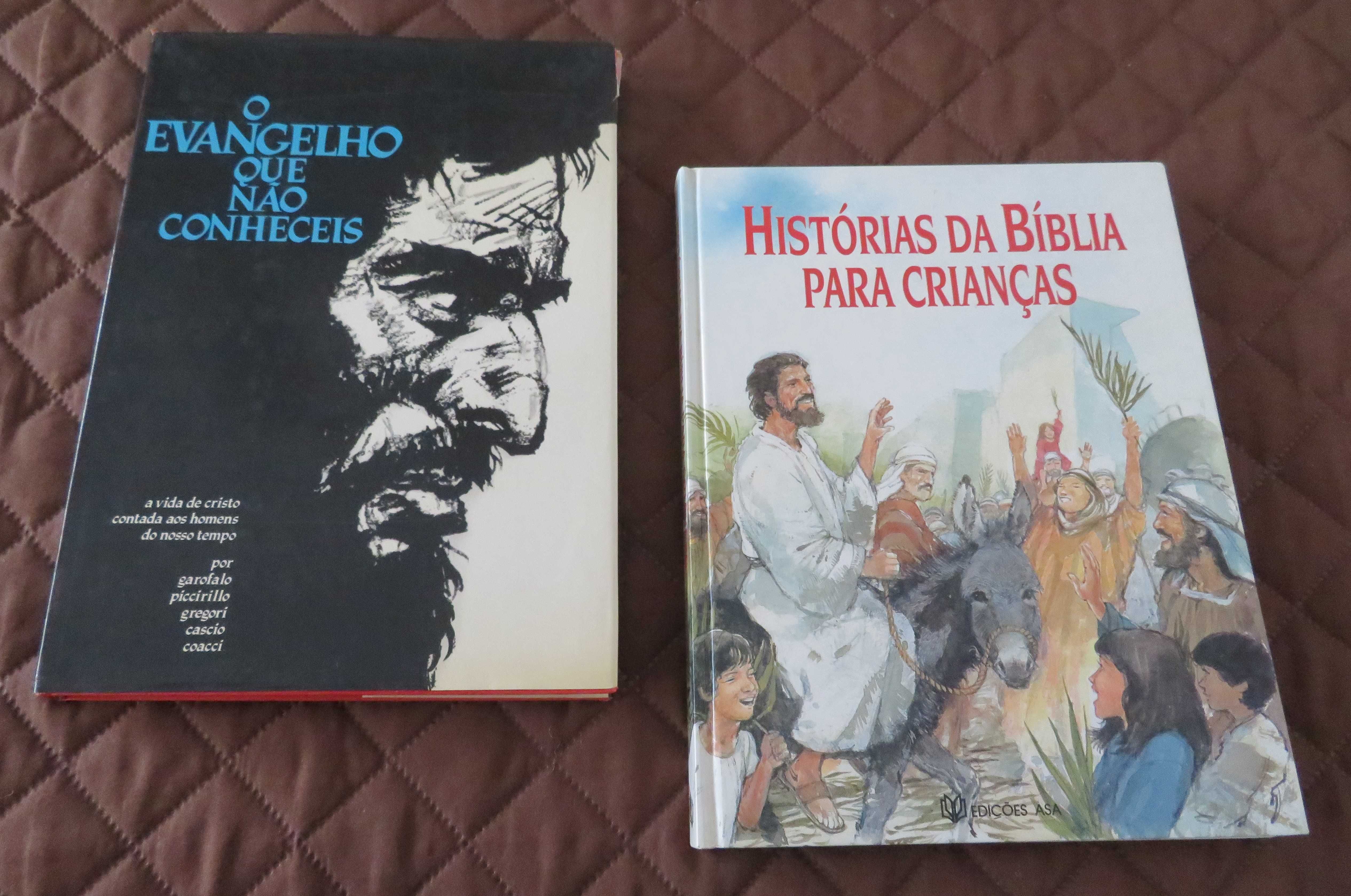 Livros sobre A BÍBLIA (2 pelo preço de 1)