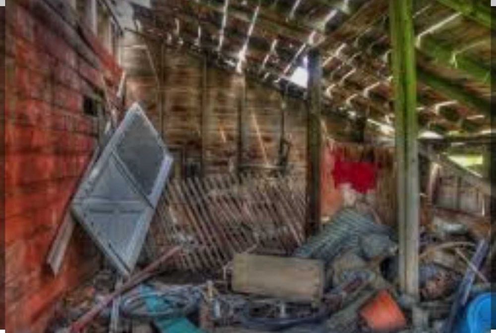 Recolha de Monos /Limpeza de Sótãos/Lojas/casas