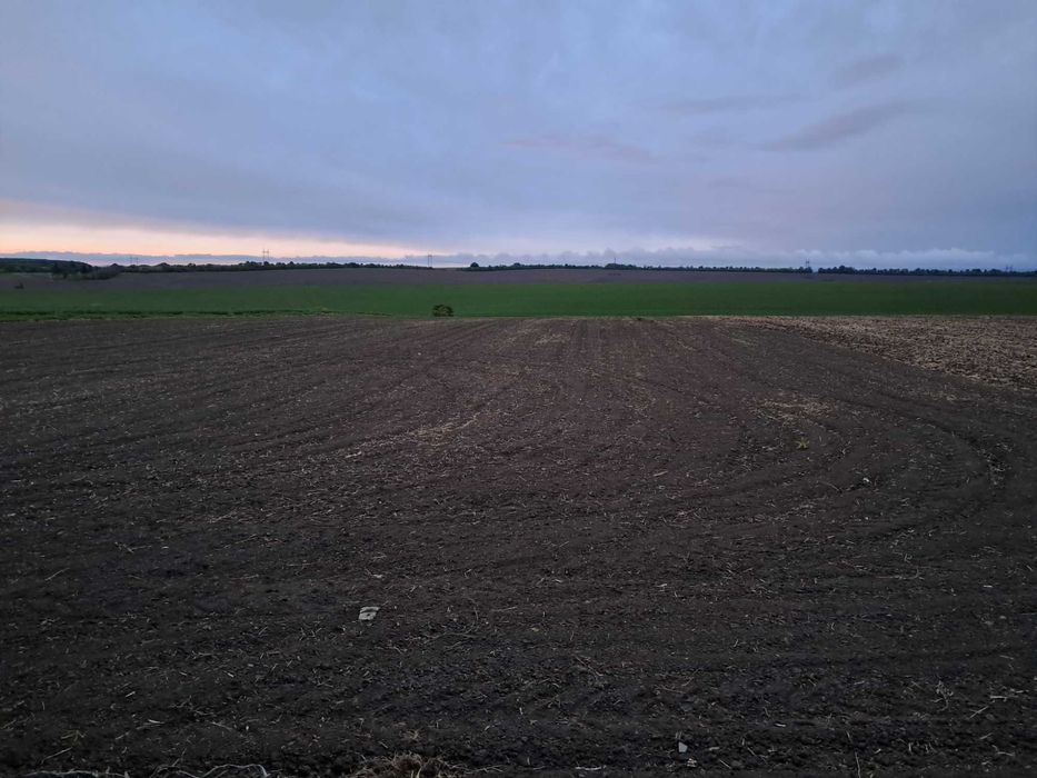 Продається земельна ділянка 20 соток для ОСГ