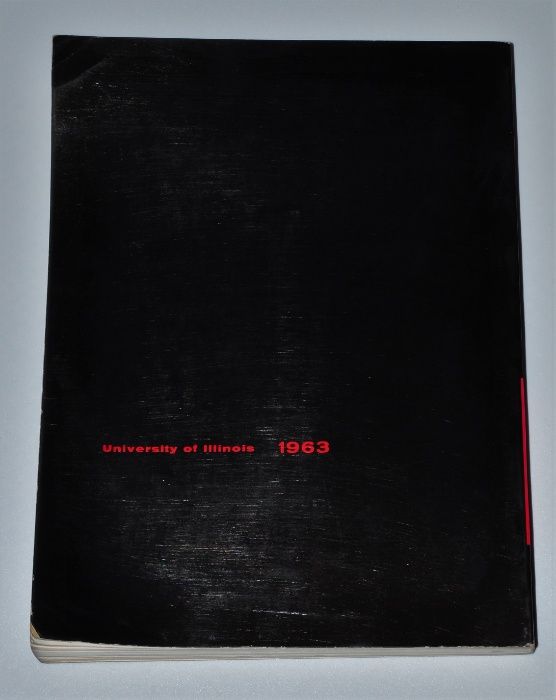 AMERICAN painting and sculpture 1963 R. (ang) malarstwo i rzeźba