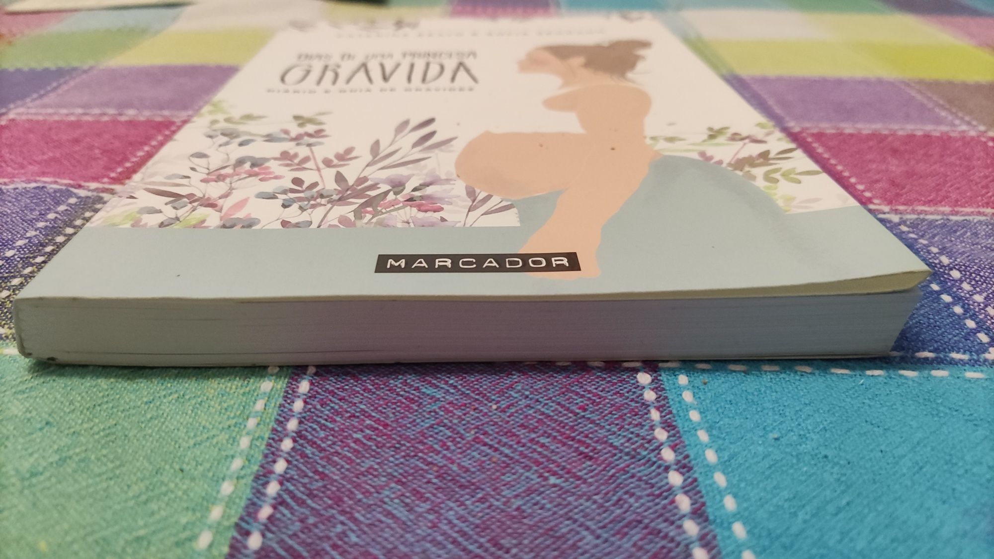 Livro Dias de uma Princesa Grávida