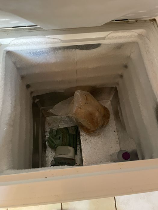 Arca Congeladora