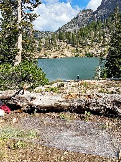 Плівка Полікро Polycro Polycryo FOOTPRINT поликро