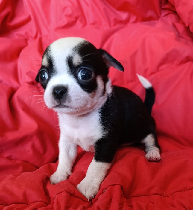 Гарненький хлопчик чекає на родину