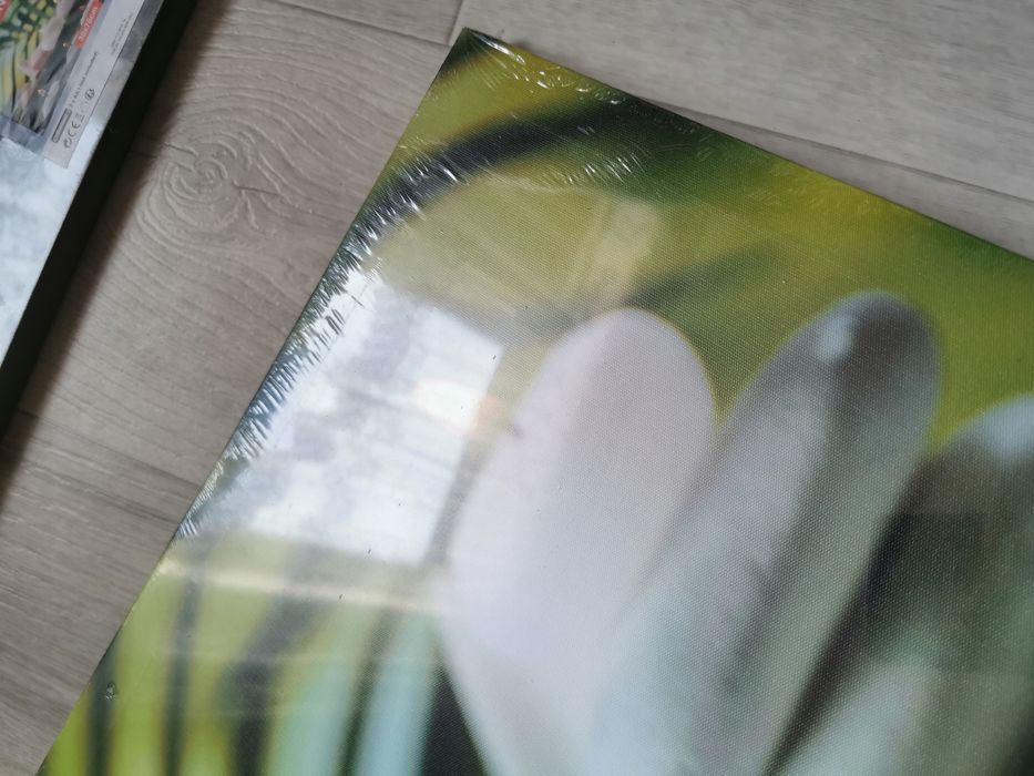 Piękny Obraz Ledowy 3X Led Canvas Na Baterie