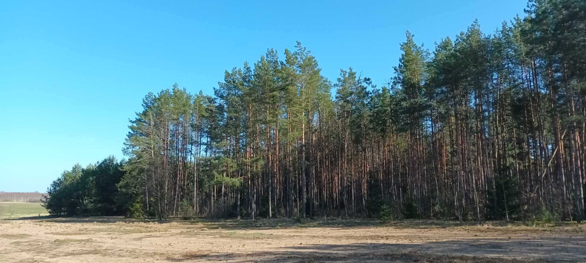 Działka Rolno-Leśna - Orzeszkowo, gm. Hajnówka [2,6888ha]