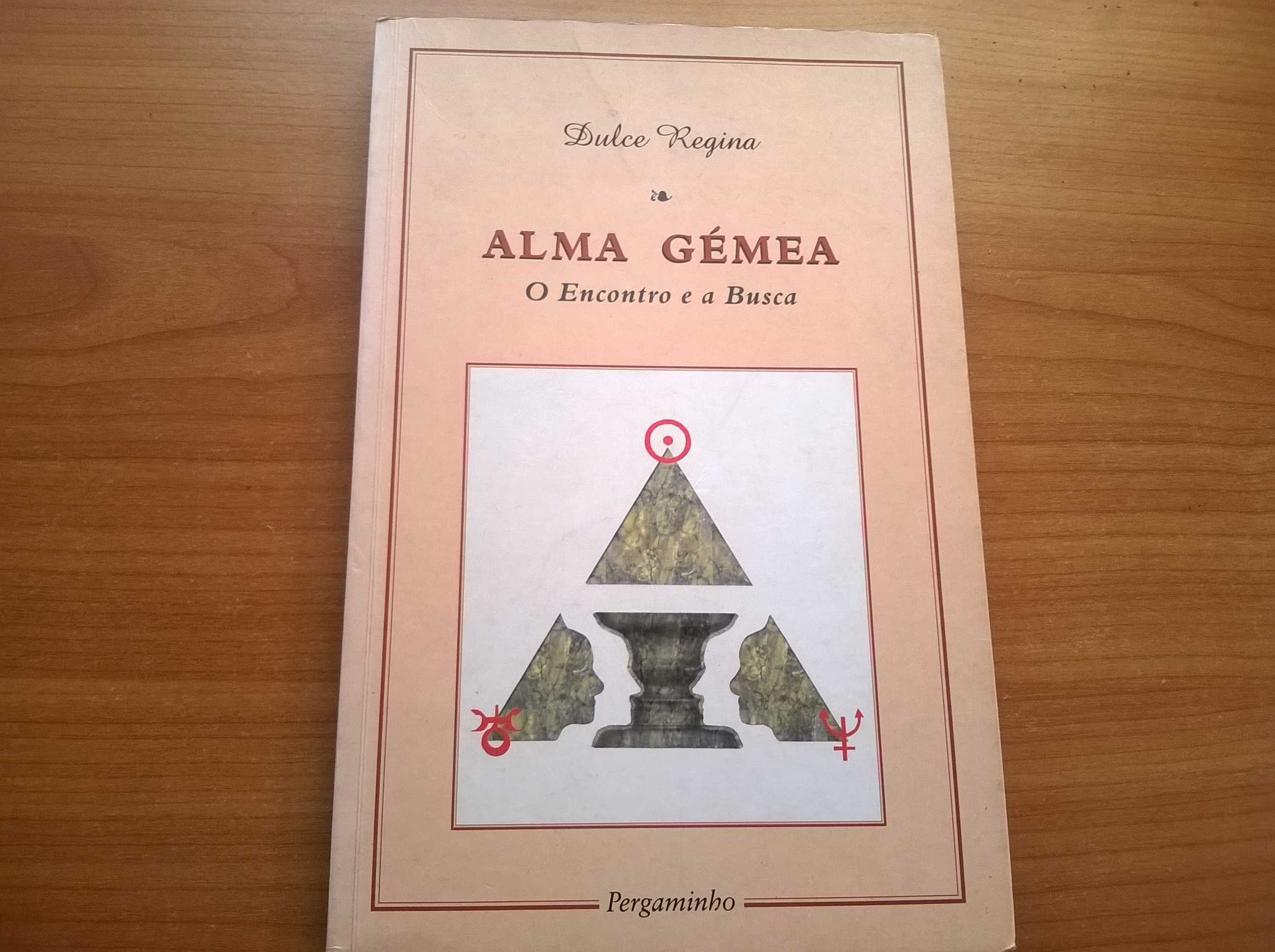 Alma Gémea, o Encontro e a Busca - Dulce Regina