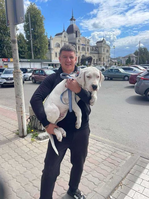 В ПОЛЬШУ индивидуальная перевозка животных