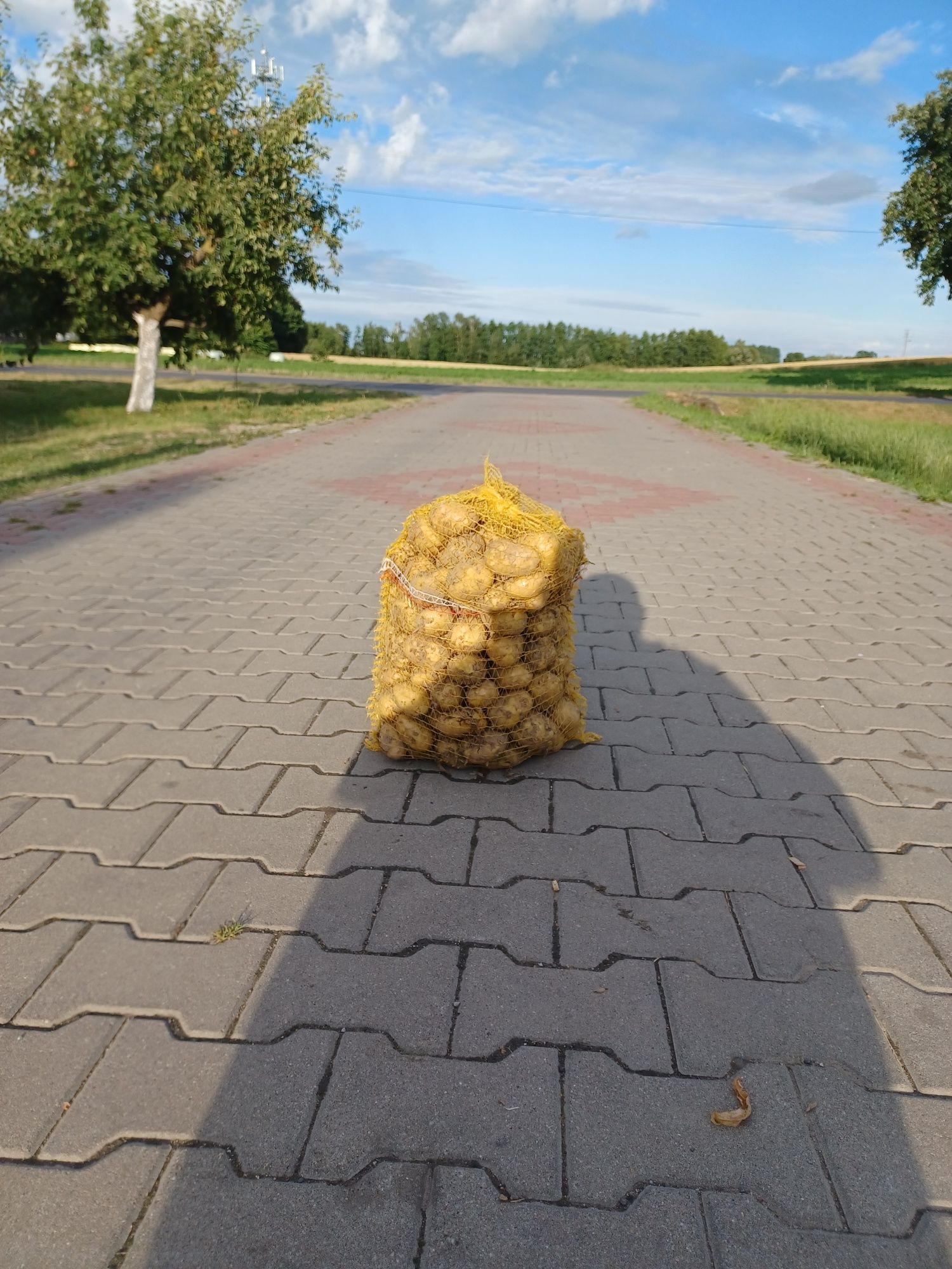 Ziemniaki  Denar
