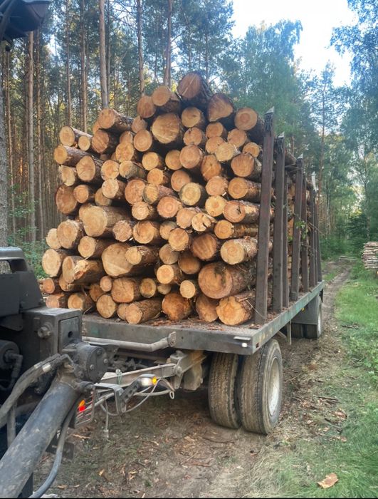 Drewno kominkowe ,opałowe brzoza dab grab buk sosna